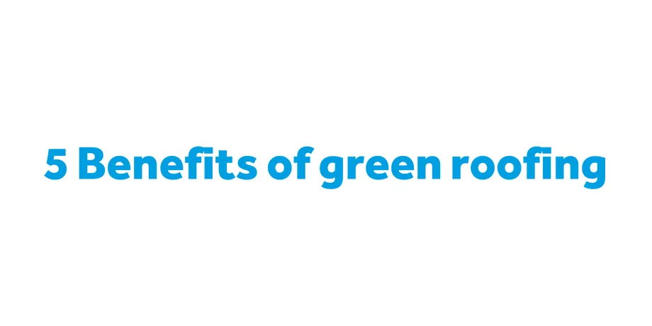 5 benefits of green roofing thumbnail