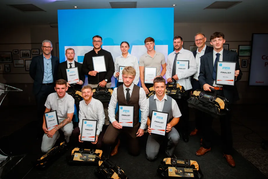 Finalists in the Pitched Roof Category