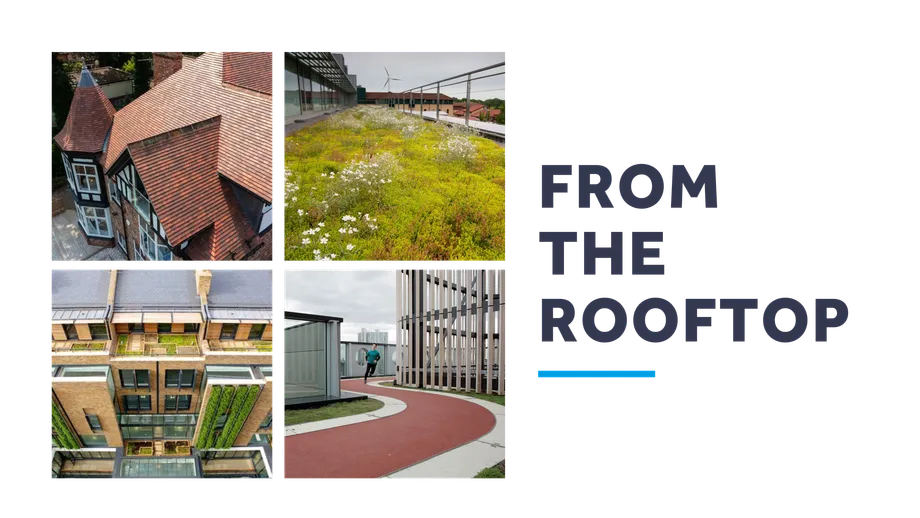 From the rooftop blog image