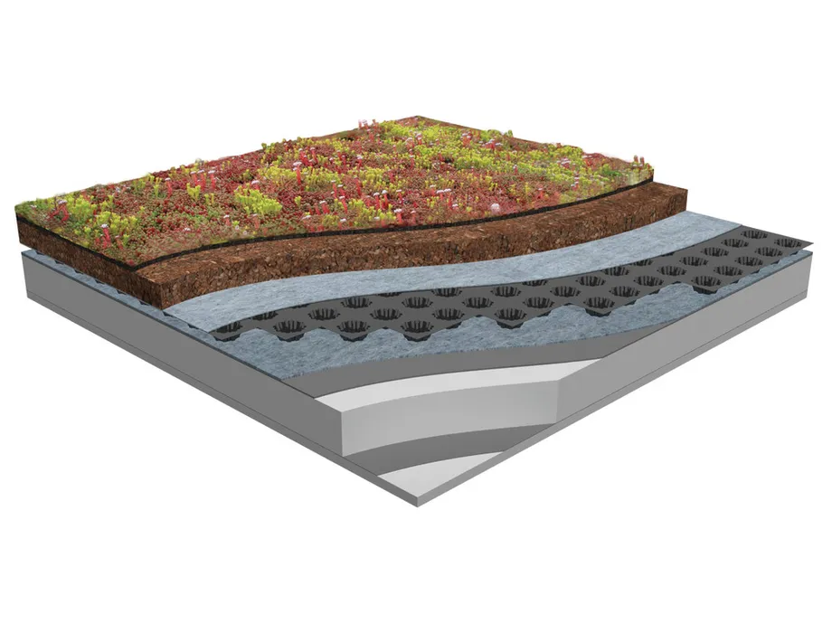Roof 01 draft 1